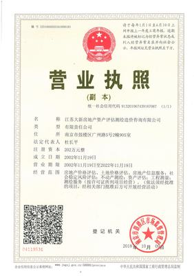 江蘇大新資產 專業評估，賦能資產價值精確認知