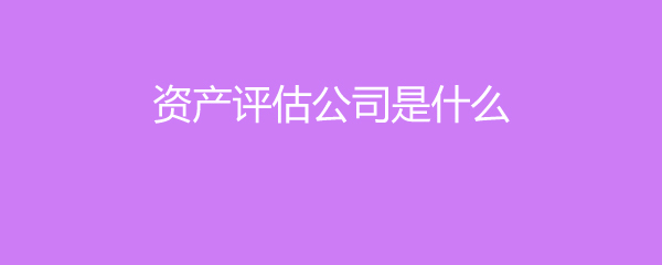 資產(chǎn)評估公司及其服務(wù)解析